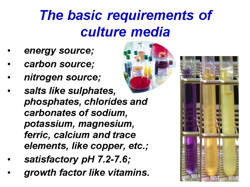 The basic requirements of culture media energy source; carbon source; nitrogen source;  salts